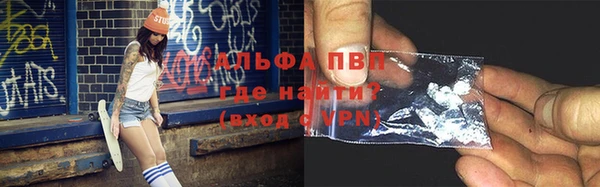 сатива Корсаков
