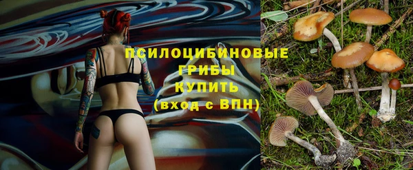 PSILOCYBIN Коряжма