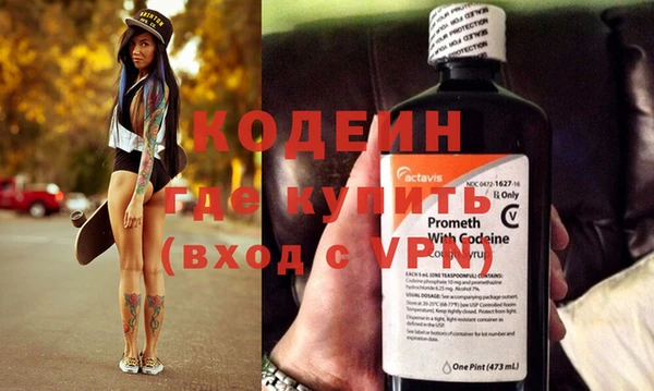 сатива Корсаков
