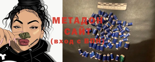 сатива Корсаков