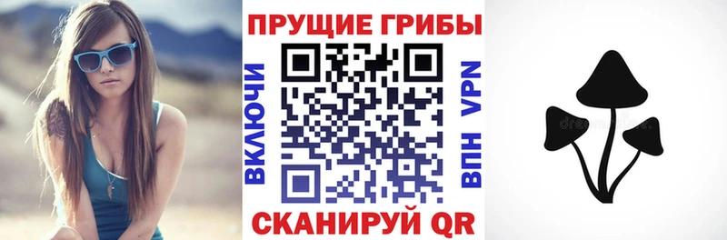 Купить  Белоозёрский  Галлюциногенные грибы ЛСД 